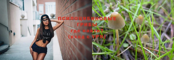 прущий лед Алексеевка