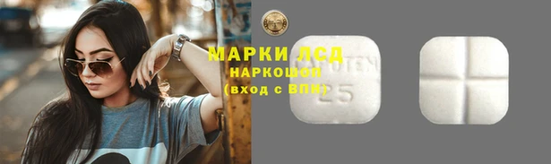 бошки Алексин