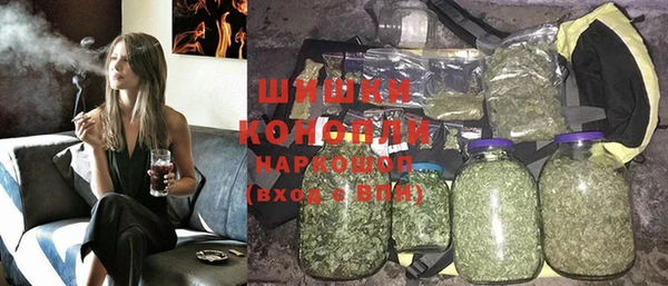 PSILOCYBIN Алзамай
