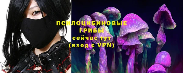 бошки Алексин